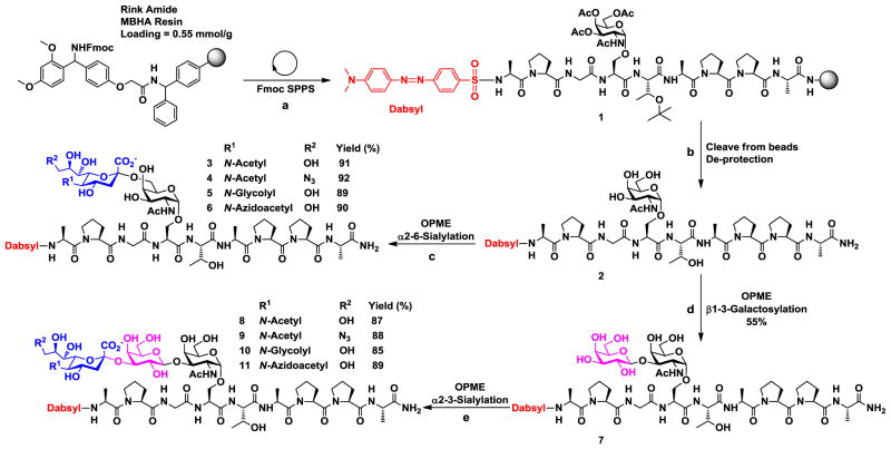 Scheme 1