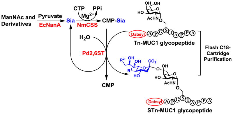 Scheme 2