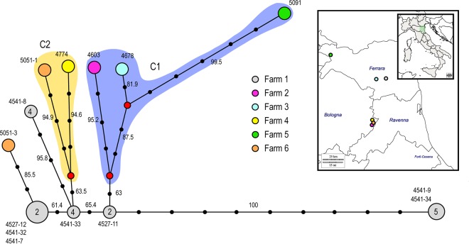 FIG 6