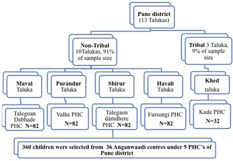 Fig. 1