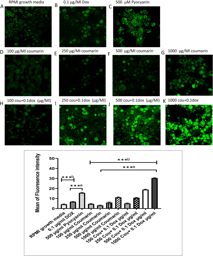 Figure 5