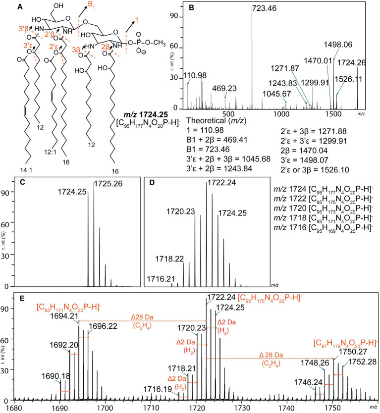 Figure 2