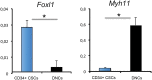 Fig. S3.