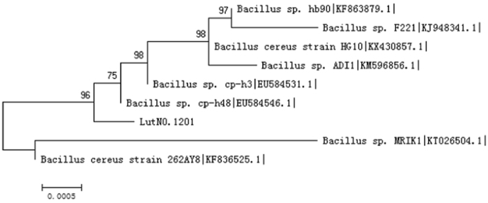 Figure 5