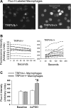 Fig. 3.