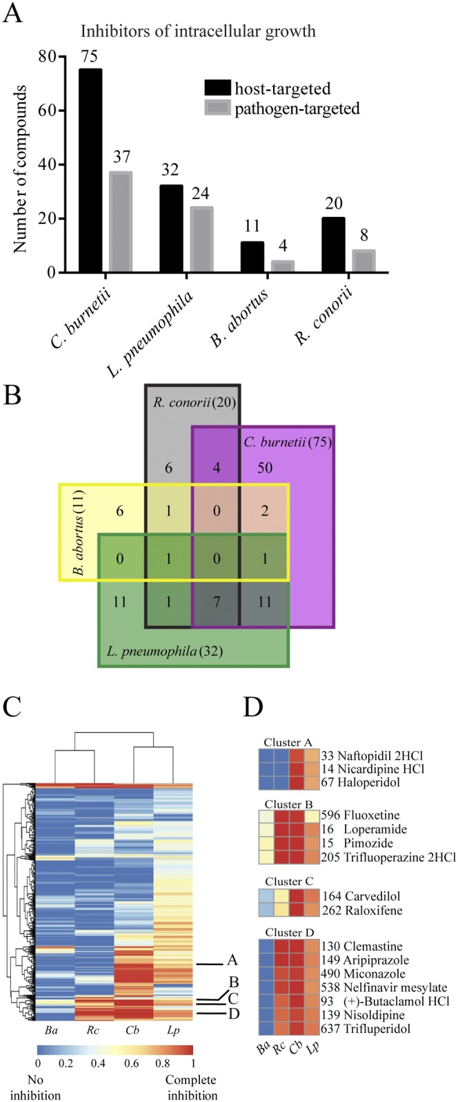 FIG 2 