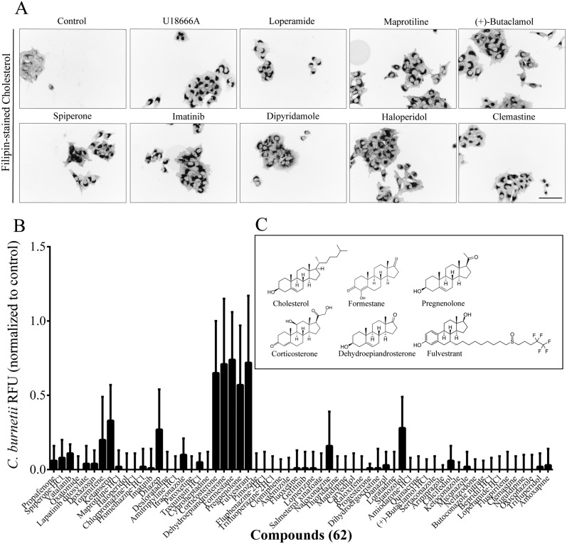 FIG 3 