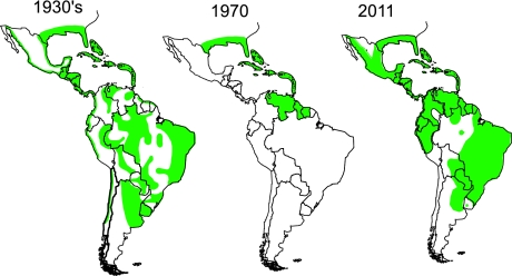 Fig. 3.