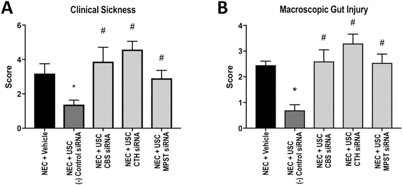 Figure 2: