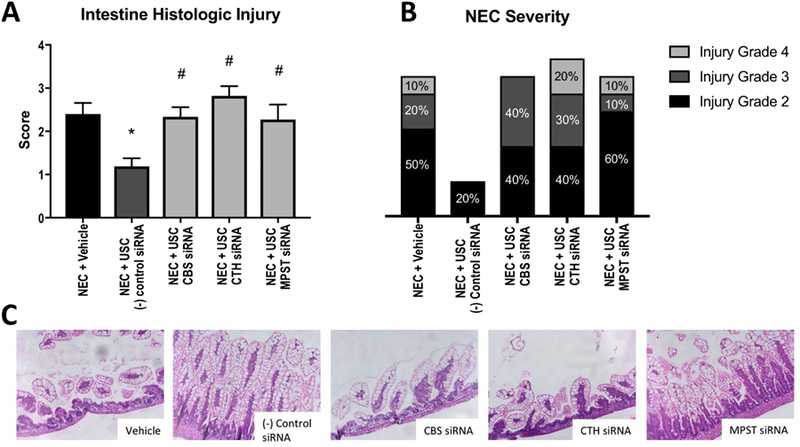 Figure 3: