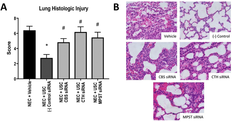 Figure 4: