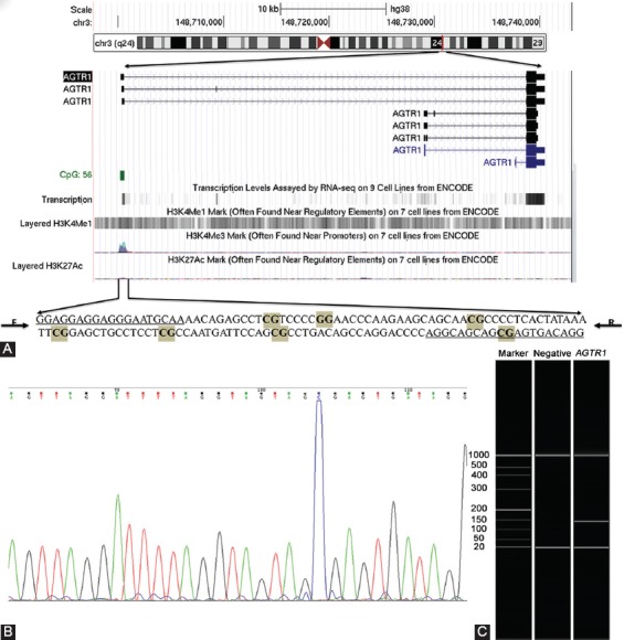 FIGURE 1