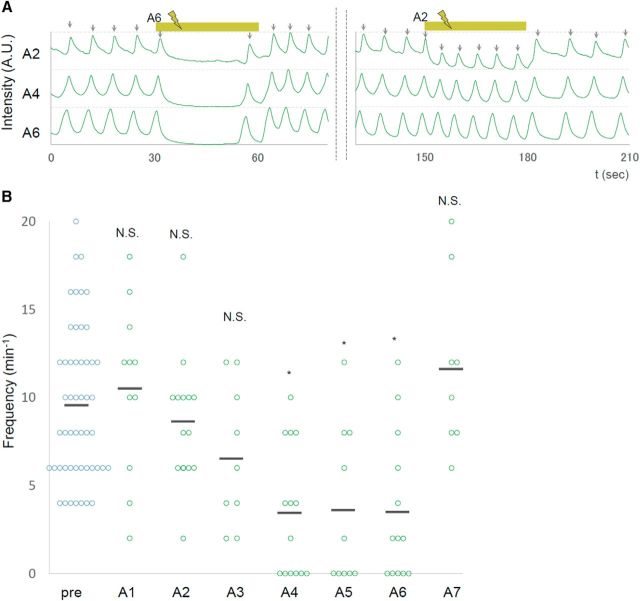 Figure 5.