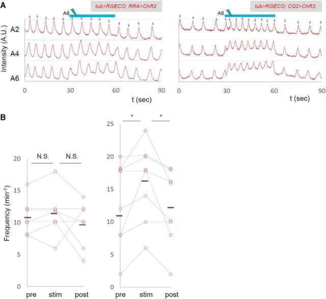 Figure 7.