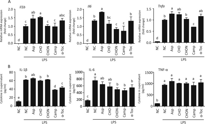 FIG 6