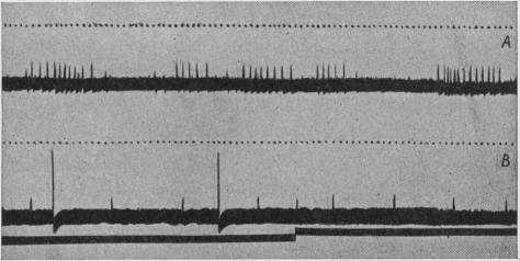 Fig. 11