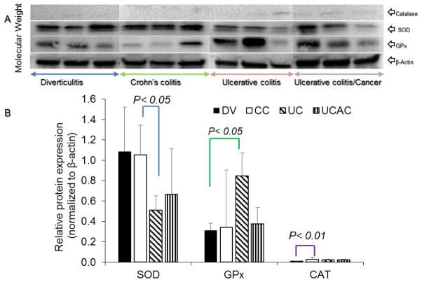 Fig. 10