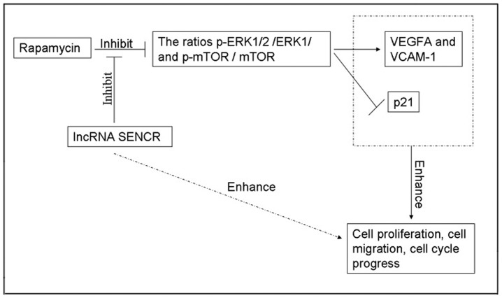 Figure 9.