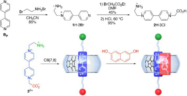 Scheme 1