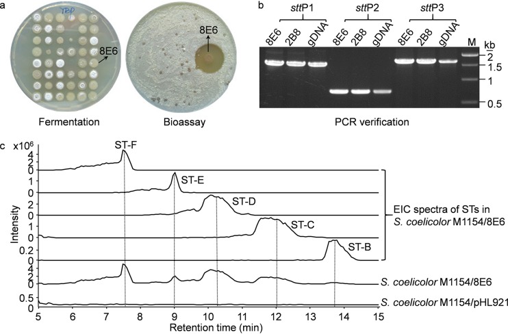 FIG 3