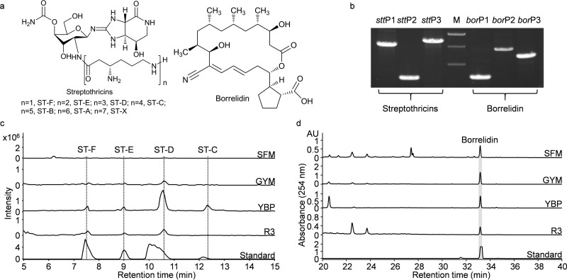 FIG 2