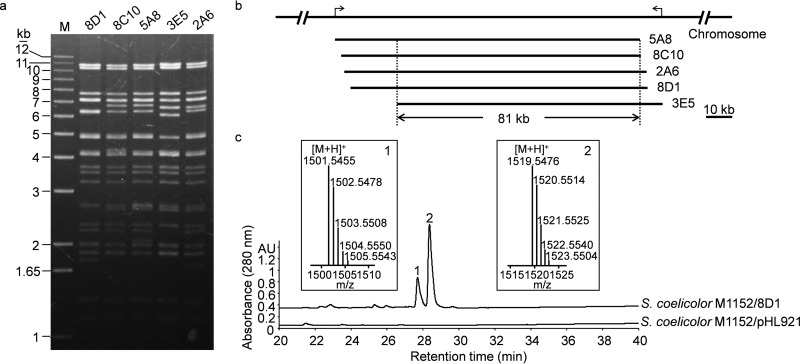 FIG 4