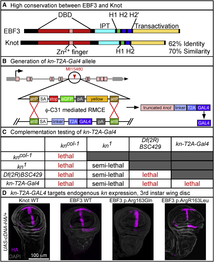 Figure 3