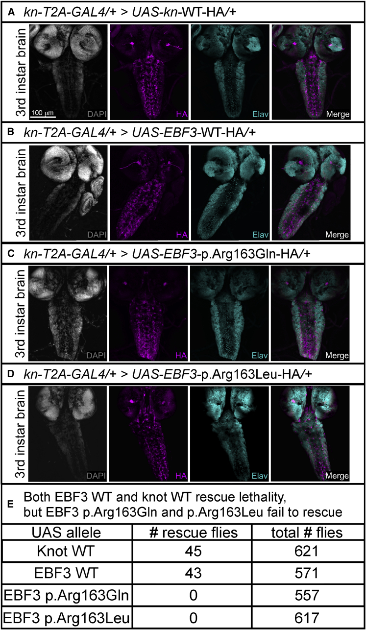 Figure 4