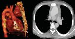 Figure 1: