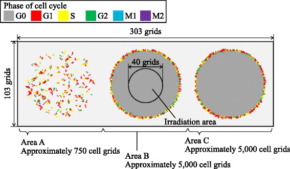 Fig. 11