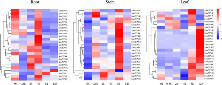 FIGURE 7