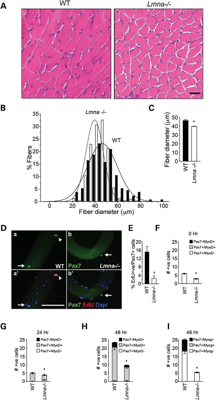 Figure 1.