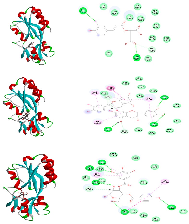 Figure 10