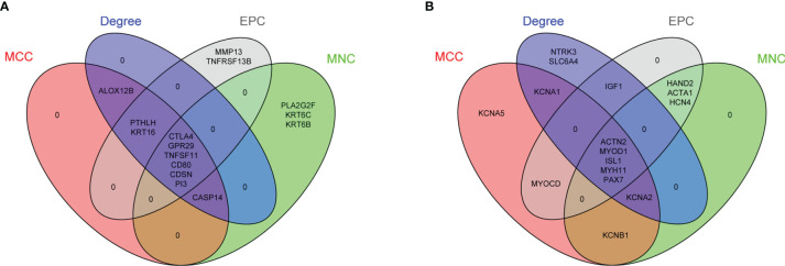 Figure 4