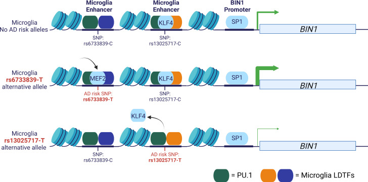 Figure 2