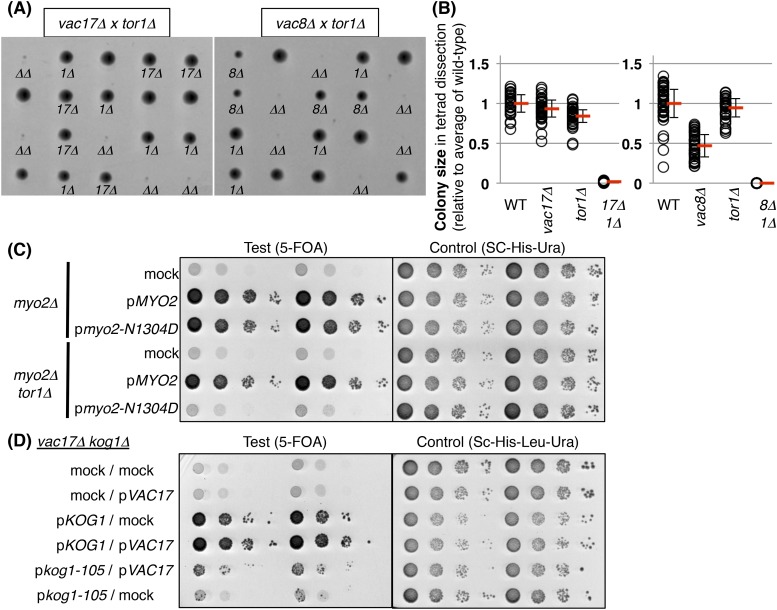 Figure 4—figure supplement 1.