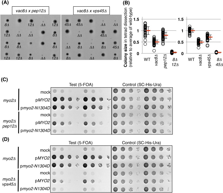 Figure 2—figure supplement 1.