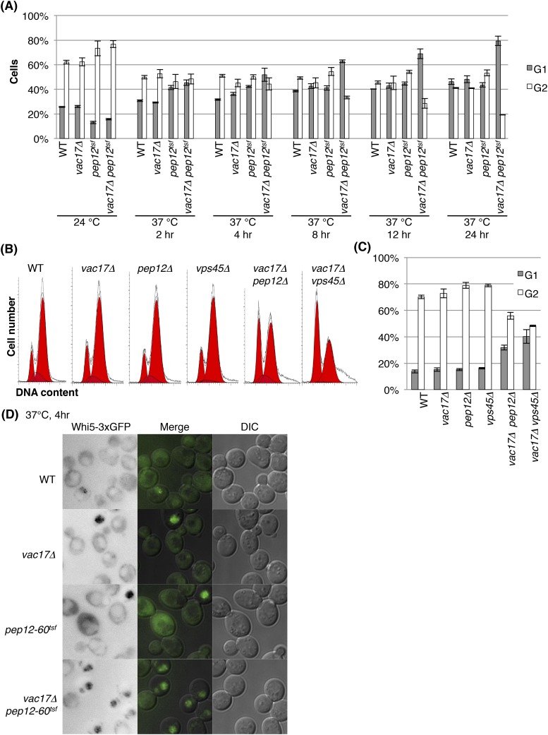 Figure 3—figure supplement 1.