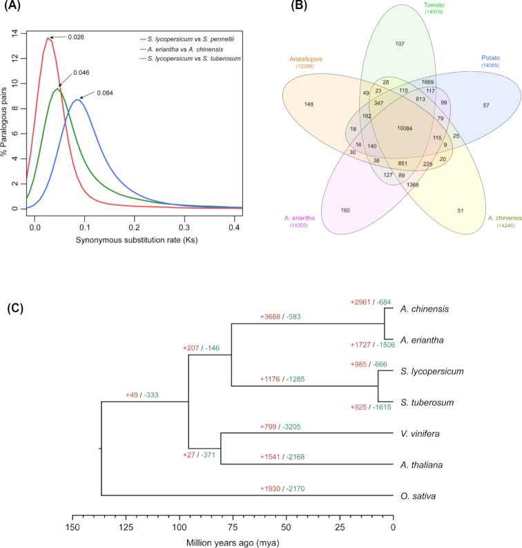 Figure 4: