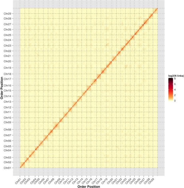 Figure 2: