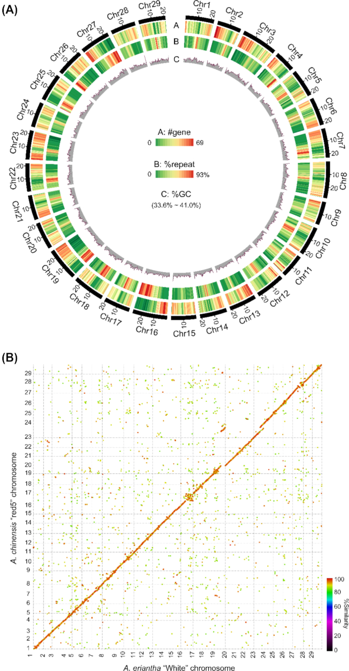 Figure 3: