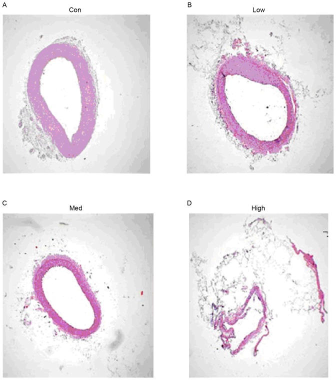 Figure 6.