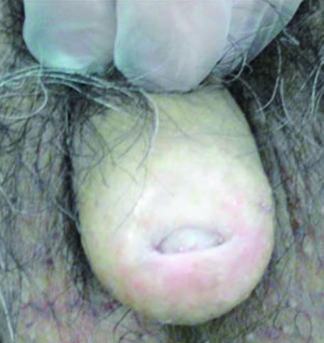 Fig. 6