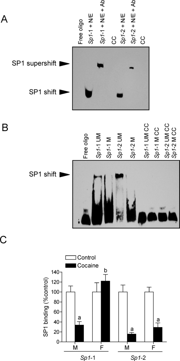 FIG. 5.