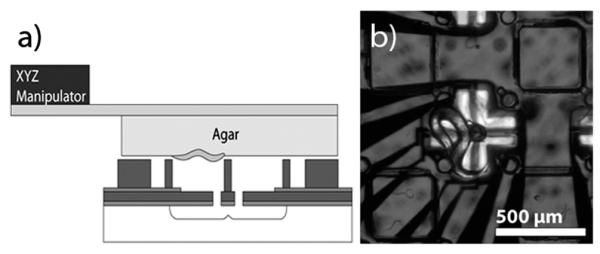 Fig. 4