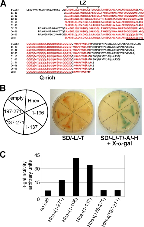 FIGURE 2.