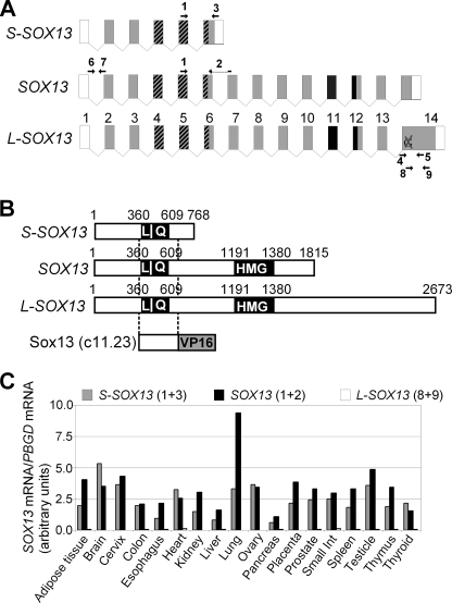 FIGURE 3.