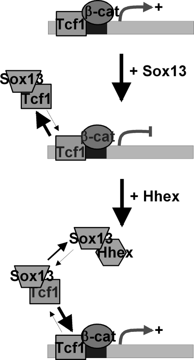 FIGURE 10.