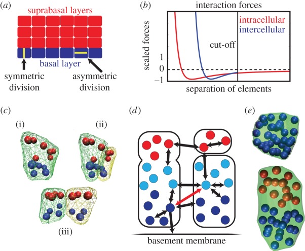 Figure 1.