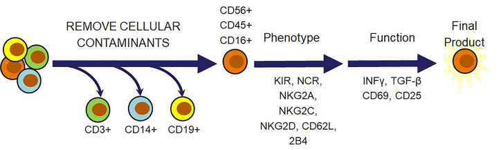 Figure 5